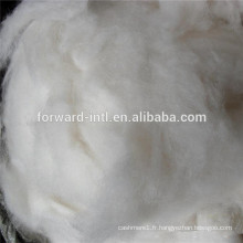 fibre de cachemire épilée, fibre de cachemire blanche, pure fibre de cachemire